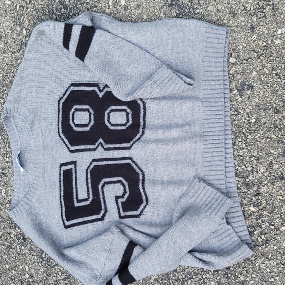 ✅️3/$40 BLUE CRUSH boxy sweater